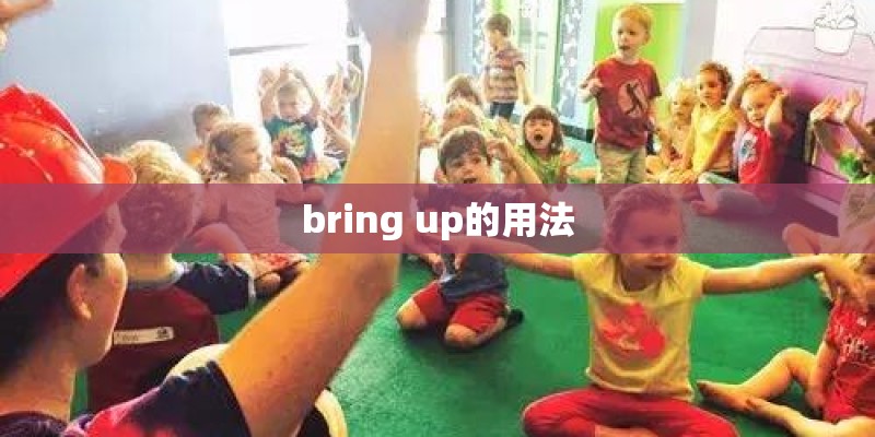 bring up的用法