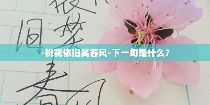 -桃花依旧笑春风-下一句是什么？