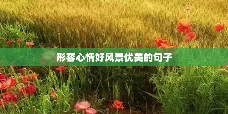 形容心情好风景优美的句子