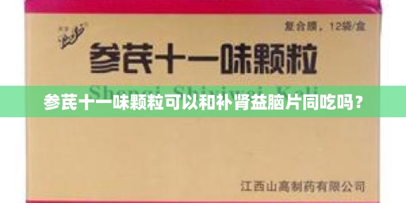 参芪十一味颗粒可以和补肾益脑片同吃吗？