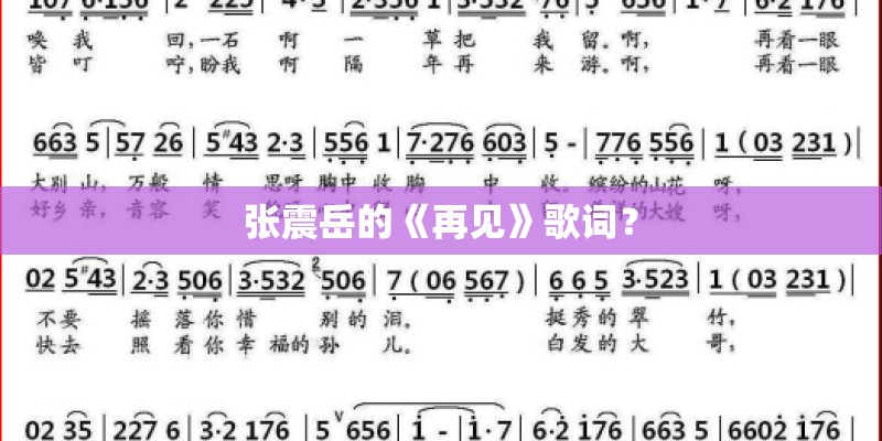 张震岳的《再见》歌词？