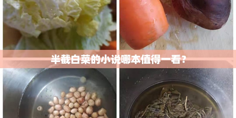 半截白菜的小说哪本值得一看？