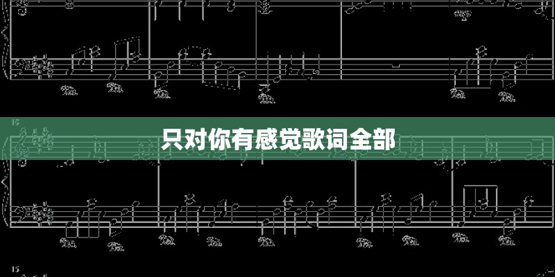 只对你有感觉歌词全部