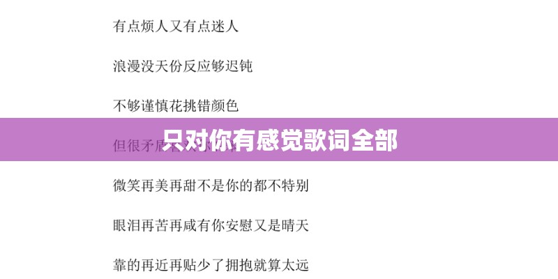 只对你有感觉歌词全部