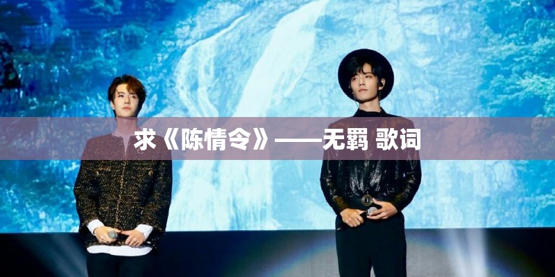 求《陈情令》——无羁 歌词