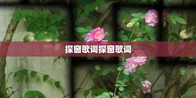 探窗歌词探窗歌词
