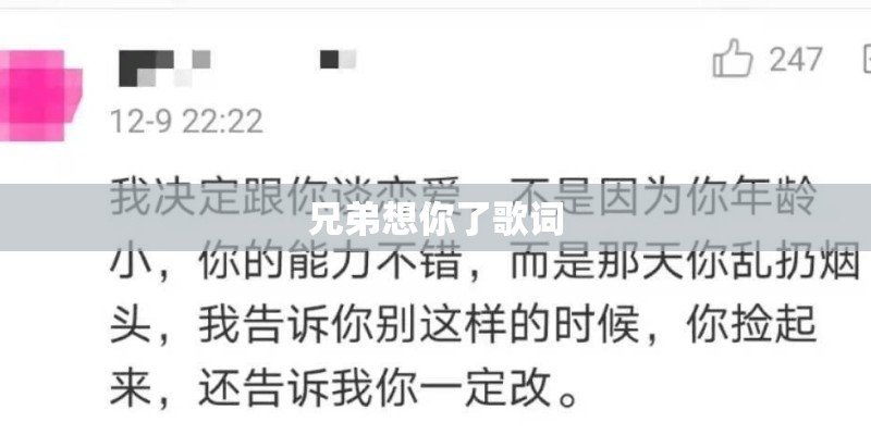 兄弟想你了歌词
