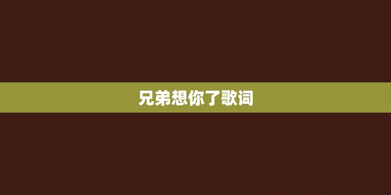 兄弟想你了歌词