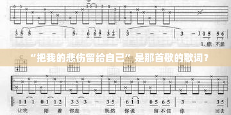 “把我的悲伤留给自己”是那首歌的歌词？