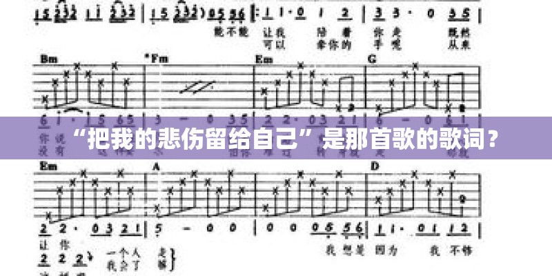 “把我的悲伤留给自己”是那首歌的歌词？