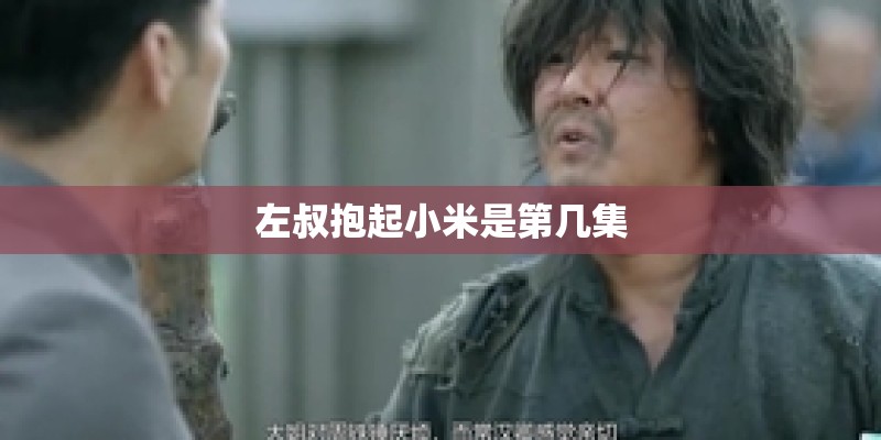 左叔抱起小米是第几集