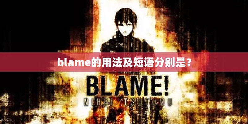blame的用法及短语分别是？