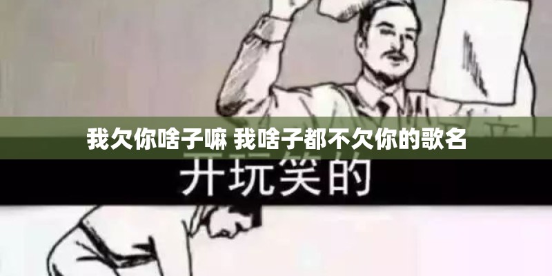 我欠你啥子嘛 我啥子都不欠你的歌名